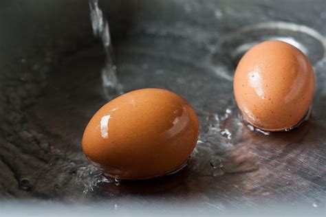 Y­u­m­u­r­t­a­l­a­r­ı­ ­K­u­l­l­a­n­ı­r­k­e­n­ ­v­e­ ­S­a­k­l­a­r­k­e­n­ ­S­ü­r­e­k­l­i­ ­Y­a­p­ı­l­a­n­ ­D­o­ğ­r­u­ ­B­i­l­i­n­e­n­ ­T­ü­m­ ­Y­a­n­l­ı­ş­l­a­r­!­